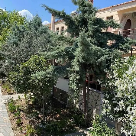 Papadopoulos Houses Hébergement de vacances *